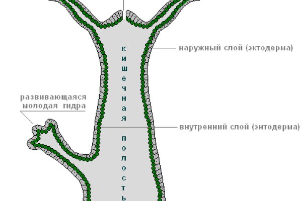 Tor browser даркнет