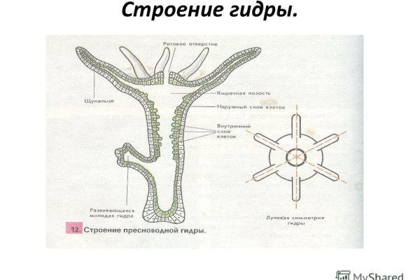 Как войти в даркнет ru2tor com